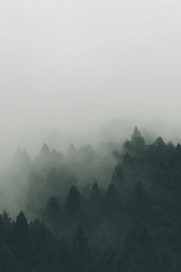 Mist, 2023