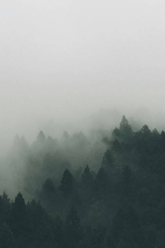 Mist, 2023